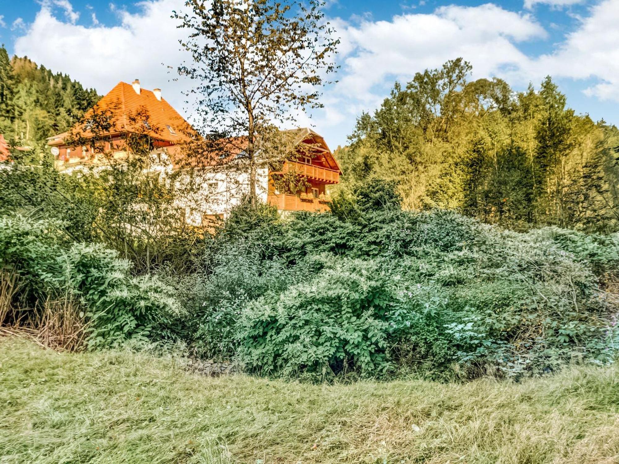 Gießübel Apartment Thuringian Forest With Balcony מראה חיצוני תמונה