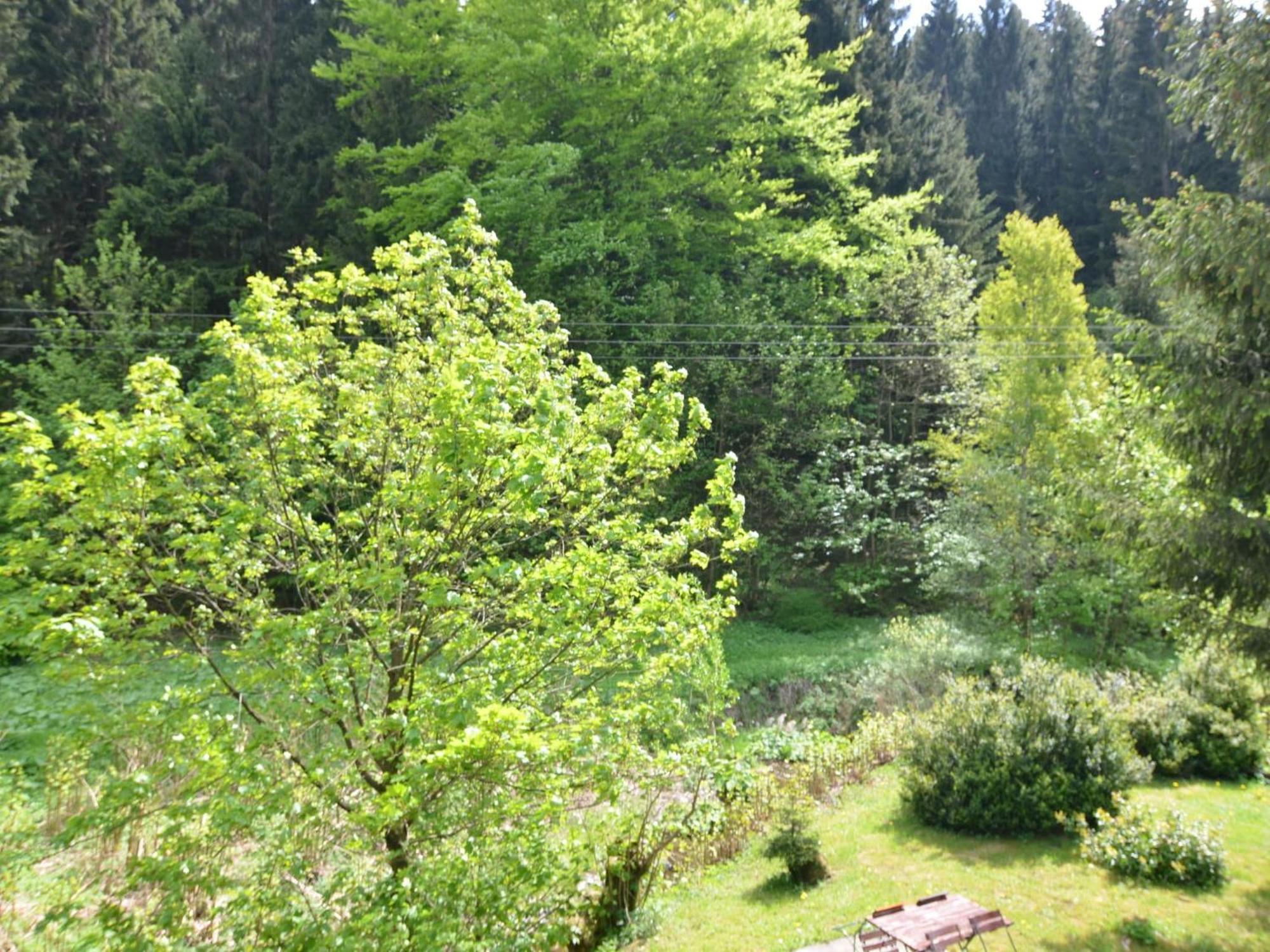 Gießübel Apartment Thuringian Forest With Balcony מראה חיצוני תמונה